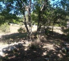 Terrain Saint Maximim, visite du 15/08