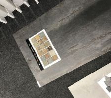 Carrelage 60x120 salle d eau au rdc