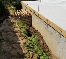 Palettes en attente de la cours anglaise