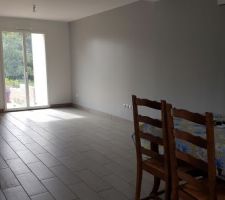 Salle a manger et salon