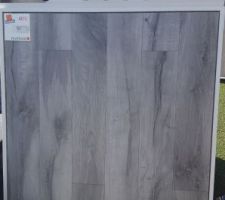 Type de carrelage en recherche: 20x120cm effet bois gris pour le RdC