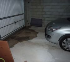 Nouvelle piscine pour la grenouille. Le ragréage n'a pas supprimé la cuvette à l'intérieur du sous sol.