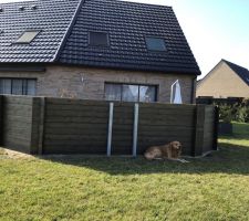 Construction piscine