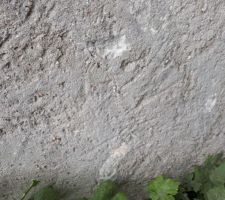 Crépi côté, chaux ou ciment !?