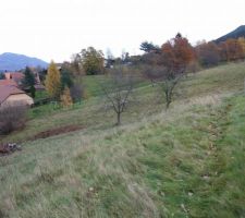 Et encore une autre vue (jusqu'aux arbres)