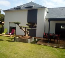 Terrasse côté jardin
Habillage de l'olivier en cours