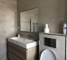 Toute la salle de bain a &eacute;t&eacute; r&eacute;agenc&eacute;e.