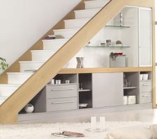 Futur amenagement sous escalier