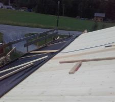 Volige : 50% accompli