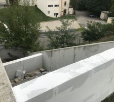 L?escalier est devenu une jardinière