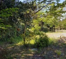 Terrain Saint Jean de Monts