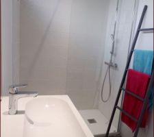 Sde des filles c&ocirc;t&eacute; douche