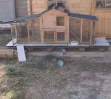Cabane et poulaillé