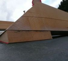 Cale spéciale pour assemblage de pannes, avec "coussins" d'étanchéité sur membrane
