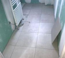 Salle d'eau