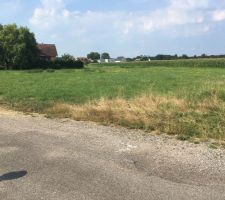 Notre terrain, dans un petit lotissement de 4 lots. Terrasse orientée vers le maïs.
Il fait 5 ares 70.