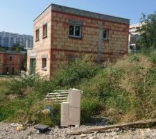 L'herbe a poussé en attendant l'électricité