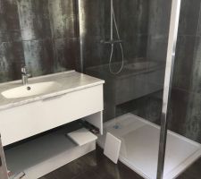 Meuble de salle d'eau : une vasque décalée.
Meuble chêne vert - Robinetterie Hansgrohe Focus 100