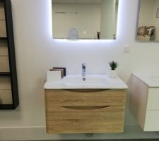 Lavabo+miroir salle d'eau