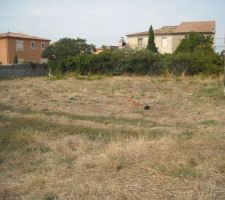 Vu du terrain, entr&eacute;e