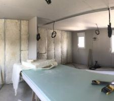Isolation acoustique placostyle
