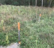 C est la forêt vierge sur le terrain mais le géomètre a réussi à se frayer un chemin pour faire l implantation de la maison