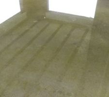 Les maçons d'à coté qui ont fait de ma dalle une piscine... On a de la verdure dans le salon maintenant... Mousse ? Algues ? Phytoplancton (nan, j'déconne) ?