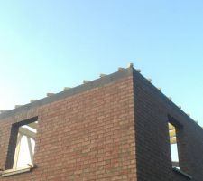 Zoom charpente angle Sud 20190918