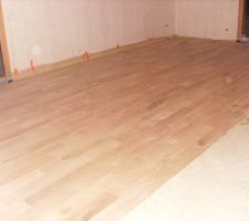 Parquet du salon