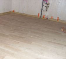 Parquet de la cuisine