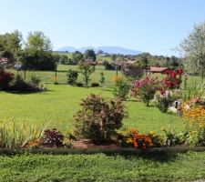 Massifs en septembre, les dernières floraisons