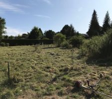 Vue du terrain avant débroussaillage