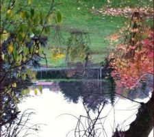 Voici donc une partie de mon terrain en fait il part de l'allée du fond et en perpendiculaire de la route sur 1500m2 (il pleut pour l'instant je n'ai pas pu faire mieux)la sapinette sera la limite avec le jardin de mes parents.
