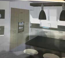 Vu 3d de la future cuisine