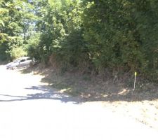 Rue et facade terrain