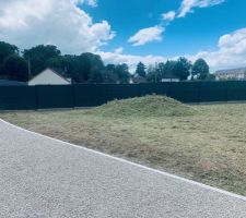 Fauchage de l'herbe dans le jardin et traitement défoliant...