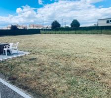 Fauchage de l'herbe dans le jardin et traitement défoliant...