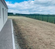 Fauchage de l'herbe dans le jardin et traitement défoliant...