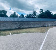 Fauchage de l'herbe dans le jardin et traitement défoliant...