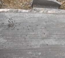 Dalle de l'entrée coulée....mais avec quelques petits défauts que nous allons demander à corriger.