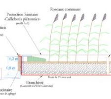 Rapport d'étude pour la phytoépuration : coupe du filtre vertical.