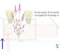 Rapport d'étude pour la phytoépuration : plan de la tranchée d'infiltration
