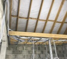 Future salle de bain et plafond cathédrale de la suite parentale