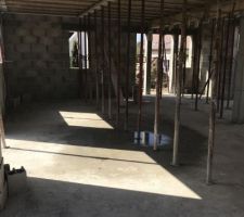 Futur pi&egrave;ce de vie