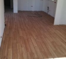 Carrelage alpi miele avant les joints