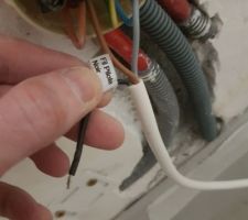 Câble du radiateur.
A quoi sert ce fil "pilote" ?