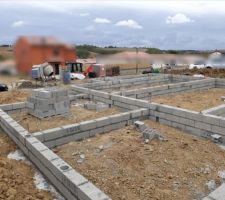 Vide sanitaire en cours