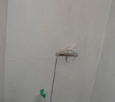 Faiences pi&egrave;ce d'eau