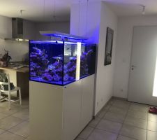 Aquarium marin 500L