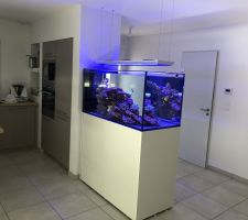 Aquarium marin 500L